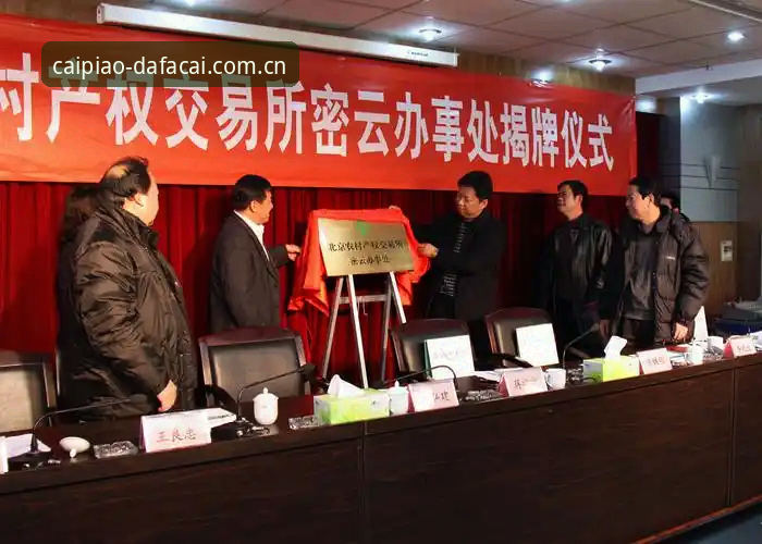 揭秘大发彩票官方平台安装教程背后的真相——新手必看的完整指南